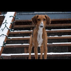 Meet your Posher, Kyle